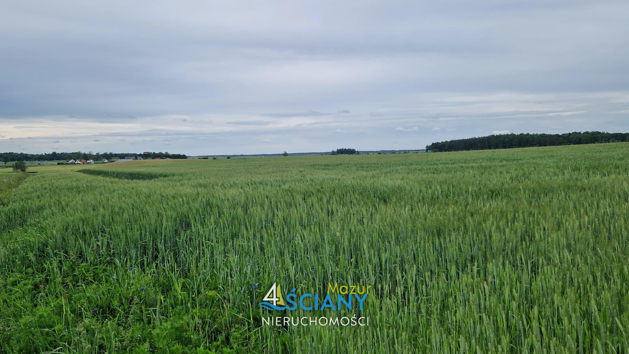 Grunt Rolny Blisko Ełku — Wysokie, Kalinowo (galeria 4)