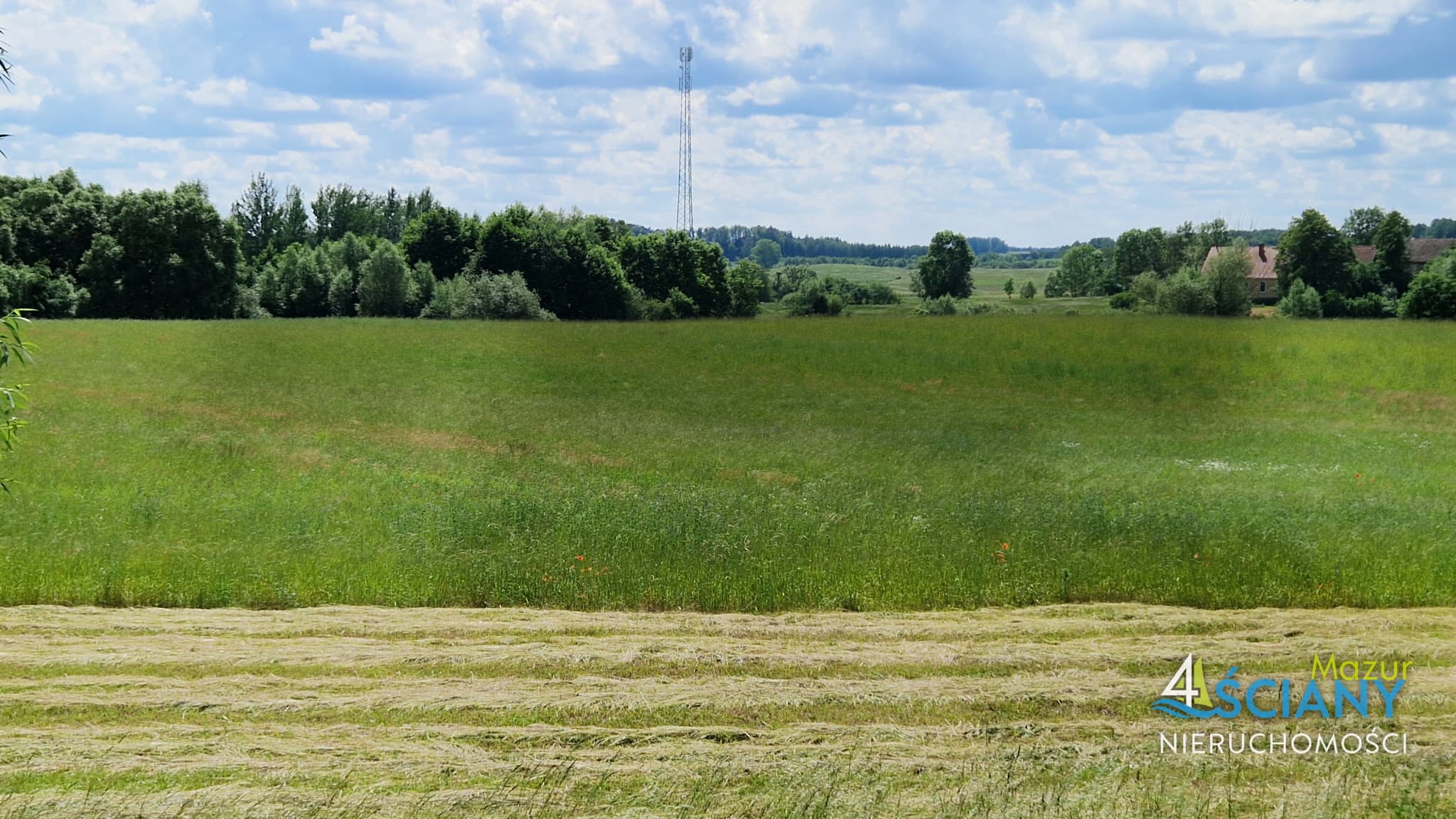 Działka Rolna — Pańska Wola, Wydminy (galeria 4)