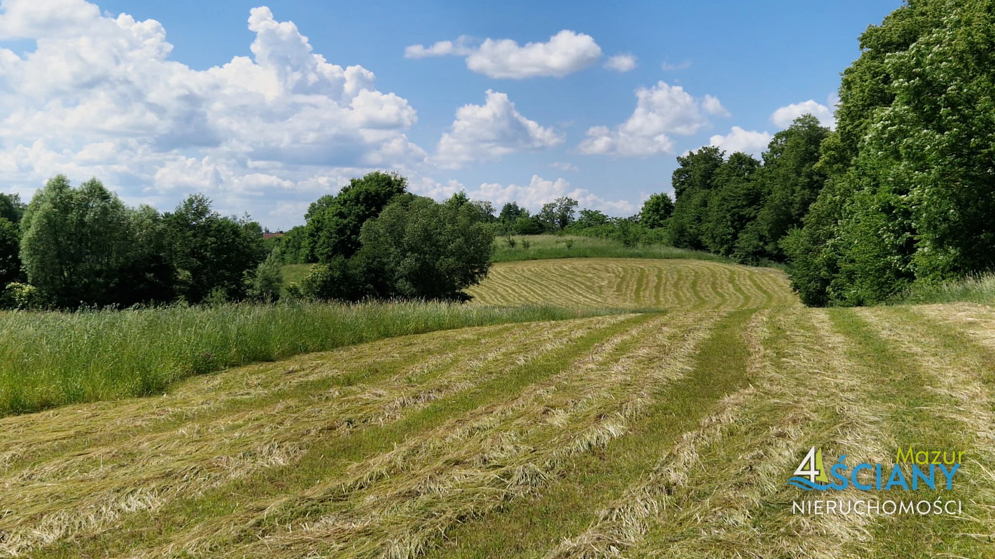 Działka Rolna — Pańska Wola, Wydminy (galeria 2)